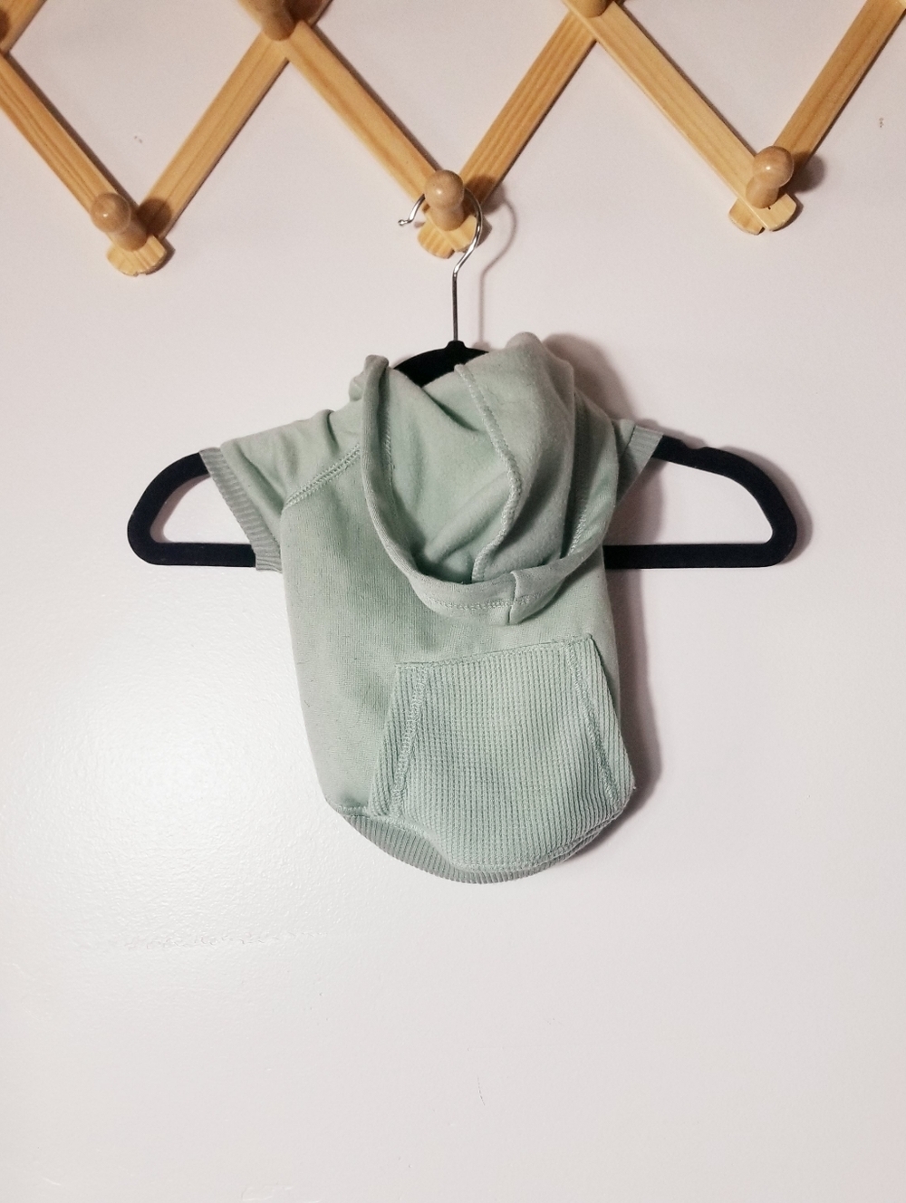 BOOTS & BARKLEY DOG GREEN HOODIE SIZE SMALL